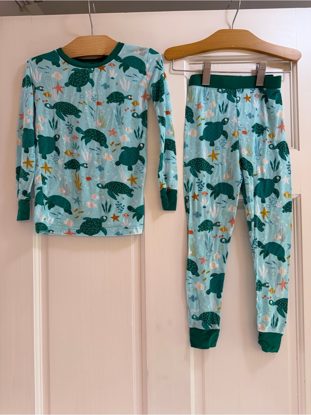 Little Sleepies Aqua Sea Turtle Pajama Set with Green Trim